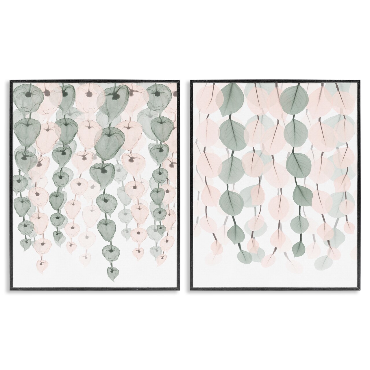 Stupell Industries Translucent Hanging Vines Foliage Framed Giclee Art